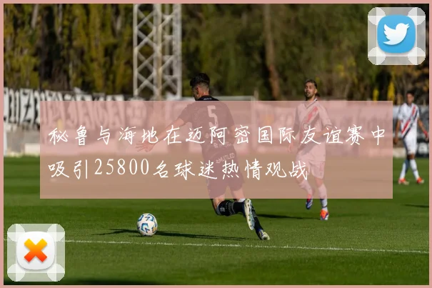 秘鲁与海地在迈阿密国际友谊赛中吸引25800名球迷热情观战